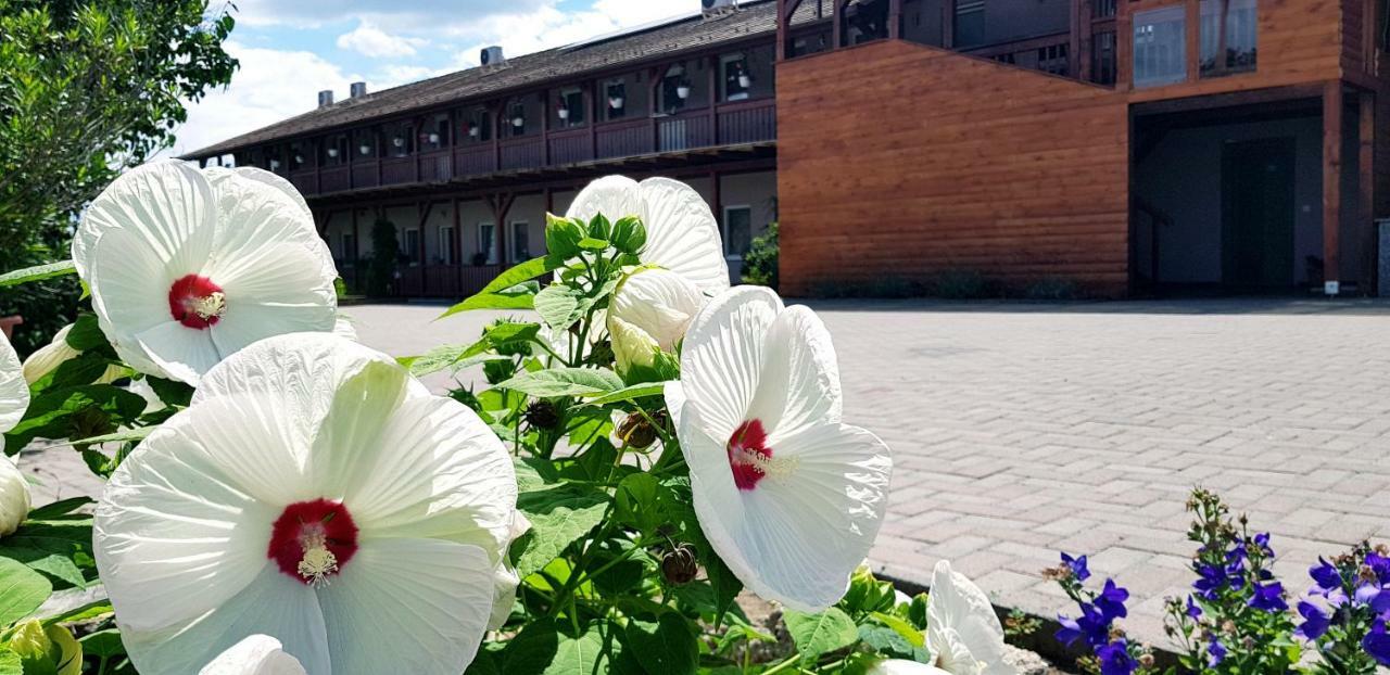 Sweet Life Wellness Apartments Egerszalók Eksteriør bilde